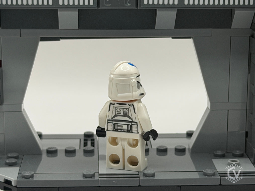 501st Legion Clone Trooper sw1094 back view