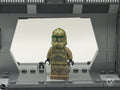 41st Kashyyyk Clone Trooper sw0519 front